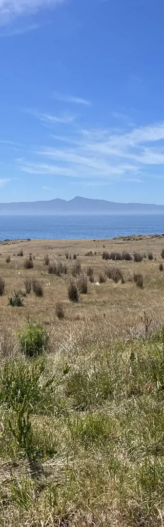 Zehn Tage Camper-Abenteuer durch Tasmanien